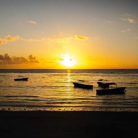 Shanuo Beach Bungalows Michamvi エクステリア 写真