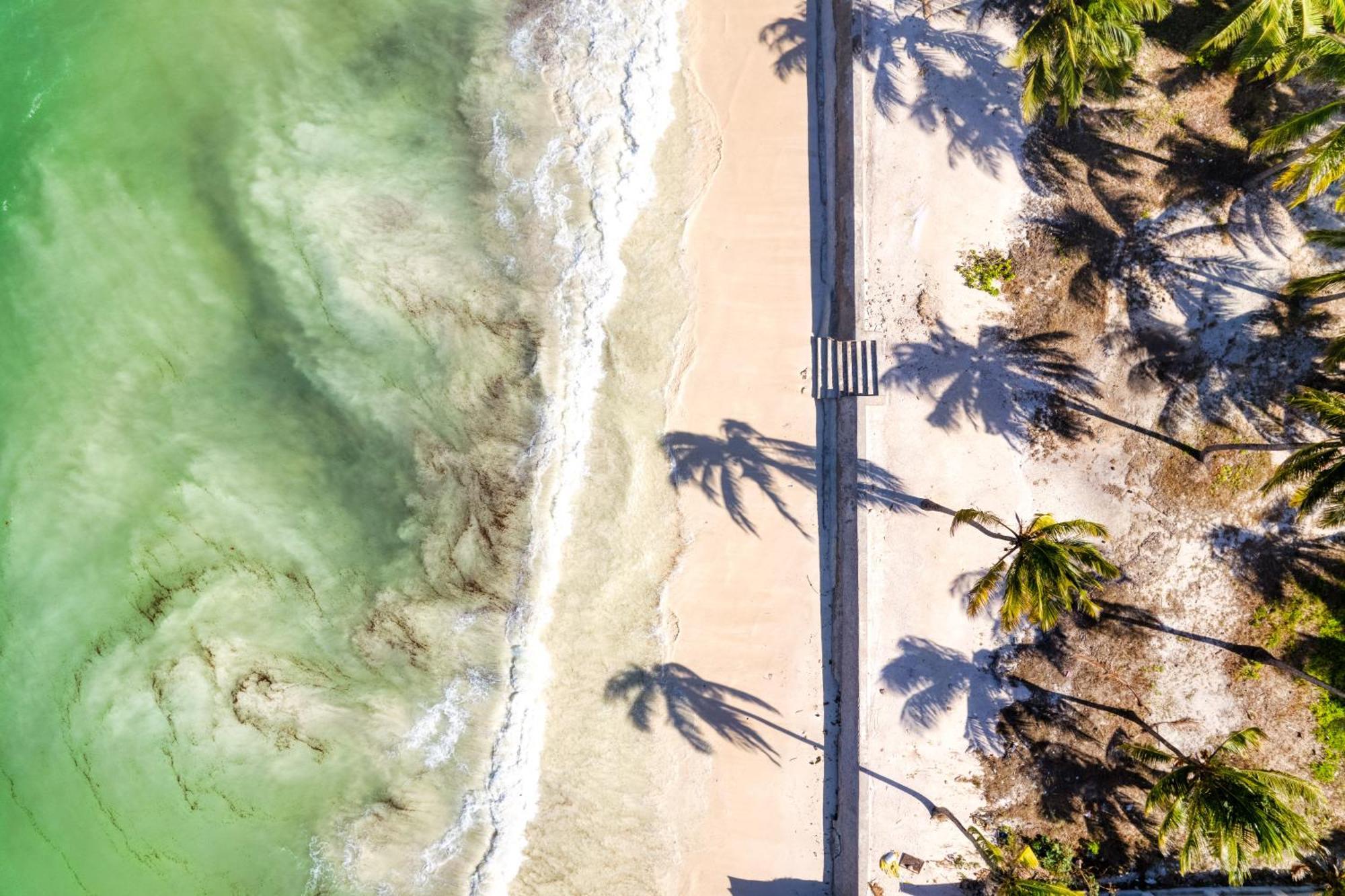 Shanuo Beach Bungalows Michamvi エクステリア 写真