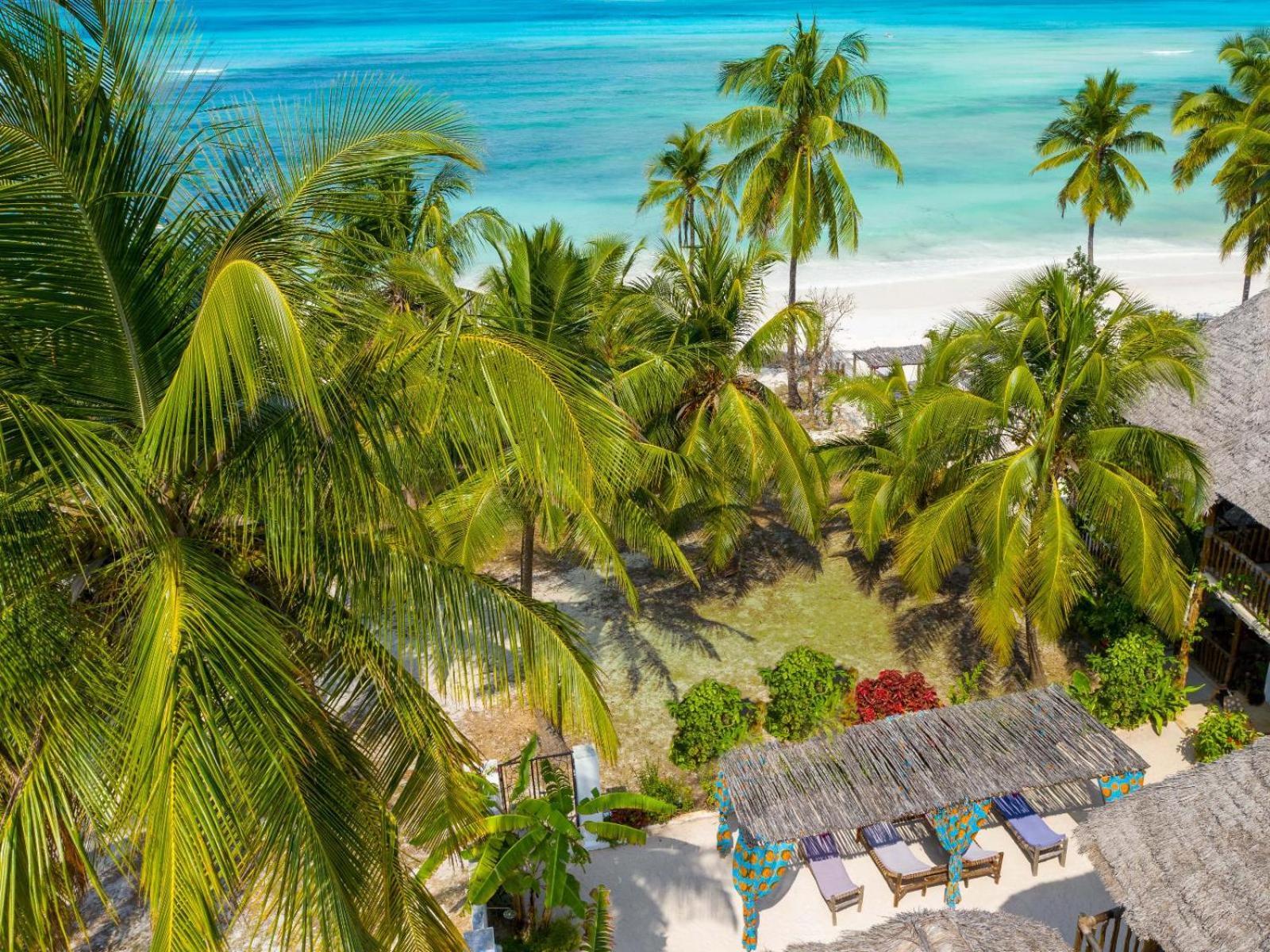 Shanuo Beach Bungalows Michamvi エクステリア 写真
