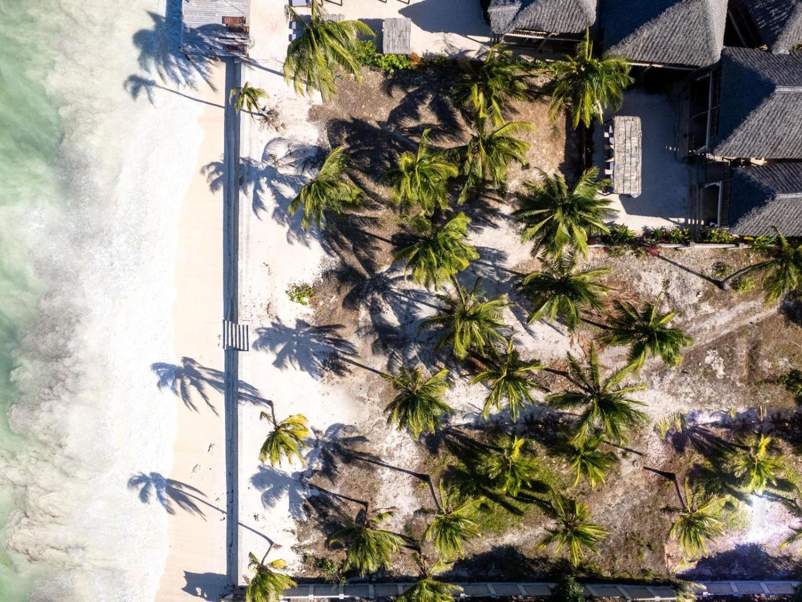 Shanuo Beach Bungalows Michamvi エクステリア 写真