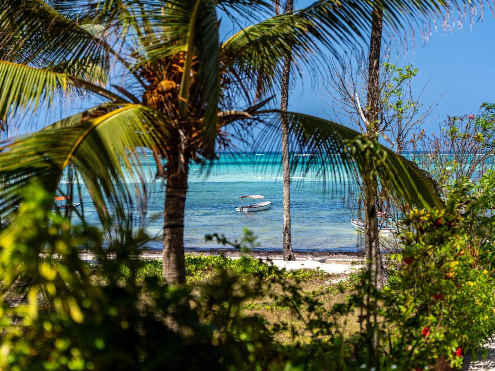 Shanuo Beach Bungalows Michamvi エクステリア 写真